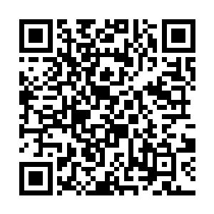 咱们秦家用得着为了一个无关紧要的人去和将家拼命二维码生成