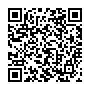 咱们说不定可以直接打到大罗金仙大圆满的灵魂力量了二维码生成