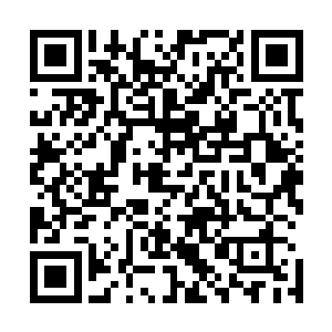咱们那些英明睿智的首领和无所不知的科学家究竟在干什么二维码生成