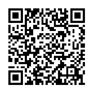 咱家临出门前皇上特地嘱咐给县主捎来一只尝尝二维码生成