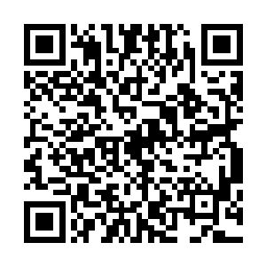 哈克的拳头摧枯拉朽的将布列斯的整只手臂一下子完全粉碎二维码生成