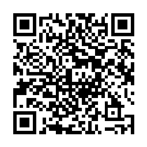 哈哈……总裁那样的身份不风流怎么对得起账户里的钱二维码生成