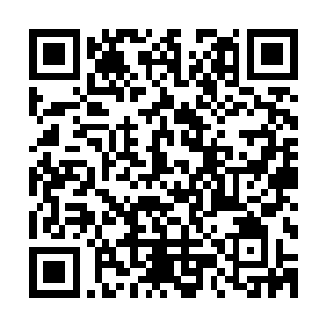 哈特曼先生在钻石联盟内部拥有着神圣不可侵犯的地位和权利二维码生成