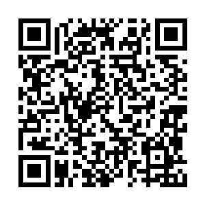 哎....这老东西在我们东方世家呆了十几年二维码生成