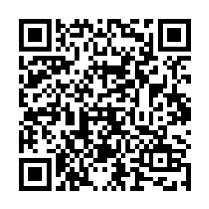 哪一个做父母的愿意别人将自己的孩子当成是小白鼠啊二维码生成
