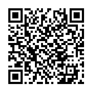 哪怕今天这紫千幻不说一句话就将他东方康云打死二维码生成