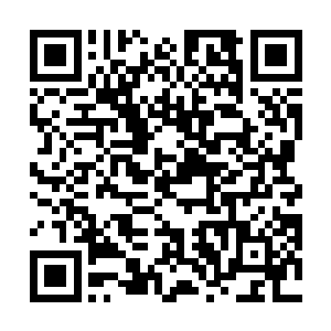 哪怕凤凰美食城的服务生每一个都有着特殊的黑社会背二维码生成