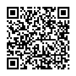 哪怕只是一丝残余力量都足以冻毙一名天心境的修者二维码生成