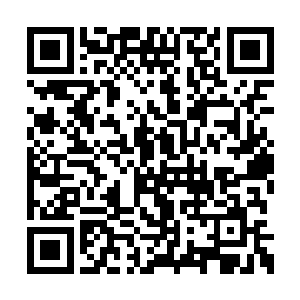 哪怕在有生之年见不到星辰冒险团成为一个宗门二维码生成