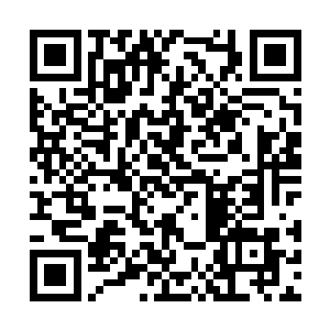 哪怕对方带着怒火的瞪视都只会让他觉得这人可爱二维码生成