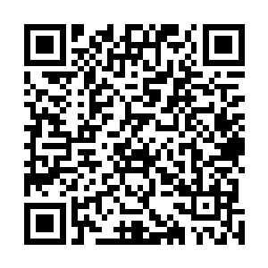 哪怕就连那些拥有了和人类同等智慧的智慧丧尸也是如此二维码生成