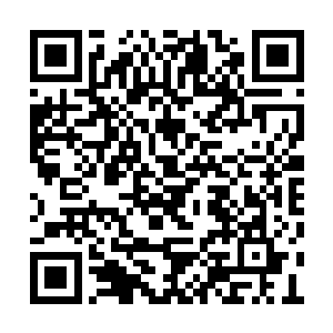 哪怕是一出去就有极大的可能被一元宗的人杀掉二维码生成