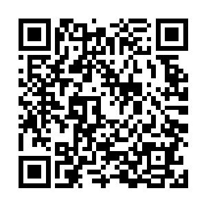 哪怕是他们雇佣的雇佣兵也不例外因为这些雇佣兵知道二维码生成