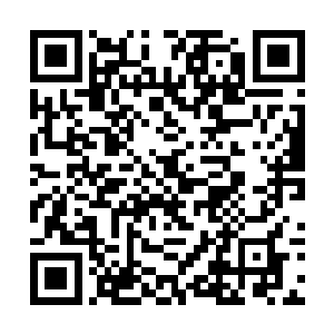 哪怕是其余的妖命者同样也是觉醒了肺神也无法获得二维码生成