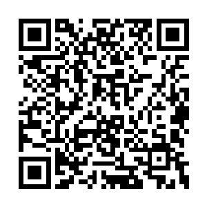 哪怕是前十大种族的天才也都不敢有任何的傲气二维码生成