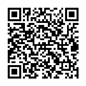 哪怕是四大无上圣庭在飘渺峰的面前也不得不俯首帖耳二维码生成
