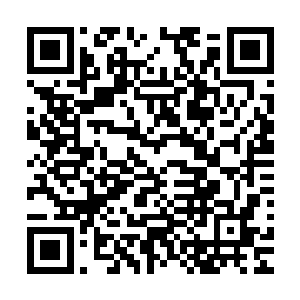 哪怕是团面文士一样也清楚这个家伙表面上的态度根本不足信二维码生成