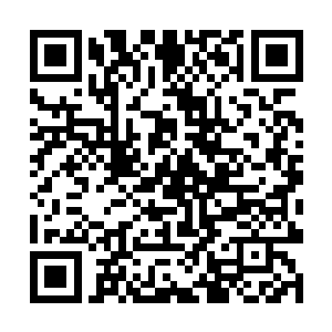 哪怕是朱天云雀拥有超强血脉也不是那么容易跨过的二维码生成