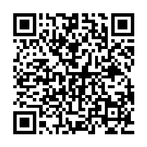 哪怕是楚暮也不得不用护体剑气将连绵不断吹袭而来的山风隔绝二维码生成