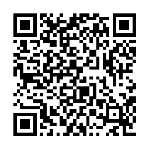 哪怕是现在龙傲天已经是大帝四重天境界的存在二维码生成