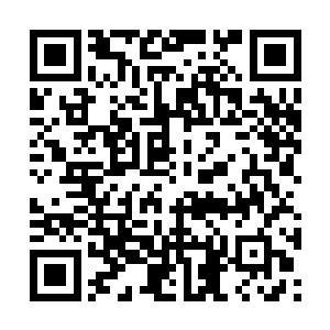 哪怕是第一次演戏的演员也会有自己对角色的理解二维码生成