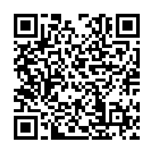 哪怕是绝世仙王强者在这一刻神识也不敢投入进去二维码生成