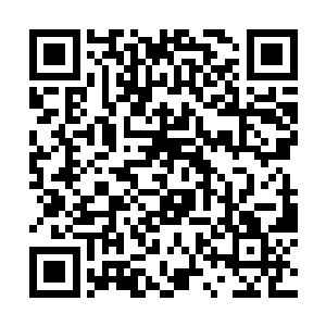 哪怕是范晋这样属于蓬莱秘境底层小人物崛起的天才二维码生成