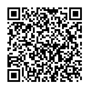 哪怕是陈博士知道了这海魂石中蕴藏着这种被他称之为活力素的东西二维码生成