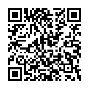 哪怕是领域级别的高手都抵抗不了这恐怖的威力二维码生成