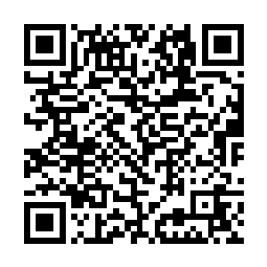 哪怕是魔帝魔尊在龙傲天面前也跟蝼蚁没有什么区别二维码生成
