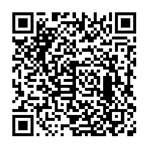 哪怕牺牲再多的其他级别的强者也绝对不愿意失去主宰级别的战力二维码生成