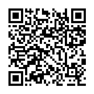 哪怕纪威晨只是将其修炼到小成之境接近大成之境二维码生成
