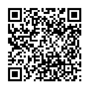 哪怕老夫被他钓上去了……那也是无怨无悔啊……二维码生成