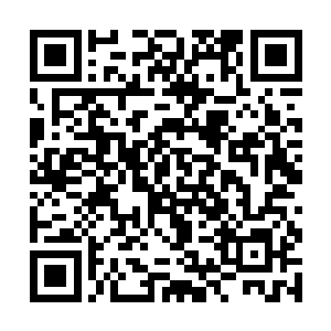 哪怕这万能魔方中蕴含着周御龙等人全力注入的力量二维码生成