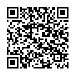 哪怕金大夫真的最后不愿意告诉她身体灵根的秘密二维码生成