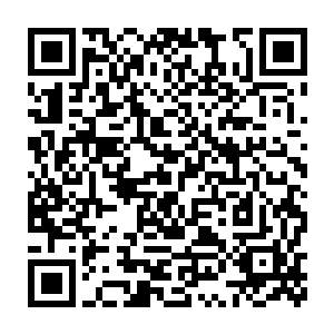 哪想到他们还没到达九原边界就被人面鲲鹏的风暴卷席打得七零八落二维码生成