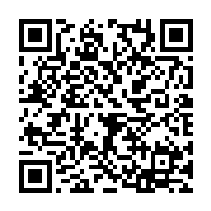 哪知道那从圣墟跟来的犬析突然低声汪汪叫了两声二维码生成