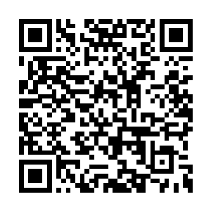 哪能像是王九九那样随随便便就能拉出来聊天呢二维码生成