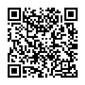 哪里是他跟向婉那半壶水零零星星两三次能说得清楚的二维码生成