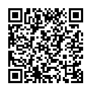 哪里有那么多的时间专心学习更不用说是继承老师衣钵了二维码生成