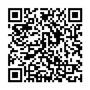 哼估计这臭小子是个书呆子吧对于豪车没有什么概念二维码生成