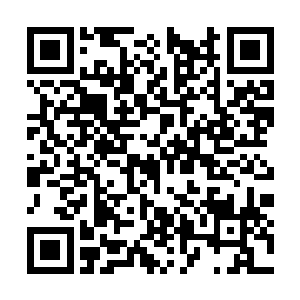 唉……当初如果不是山魂急着把自己送到仙狱中去二维码生成