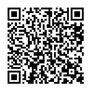 唉……虽然也知道很可能打不过他……但差距竟已到了这个地步了吗……二维码生成