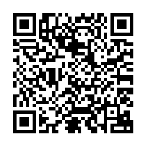 唐凌见蛋圆圆在悬崖边缘的护栏前定定地站着欣赏悬崖下的风景二维码生成