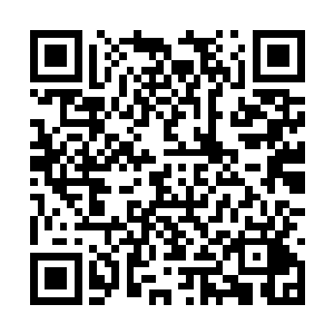 唐劫以涸泽而鱼的姿态有杀错没放过的姿态掠夺着二维码生成