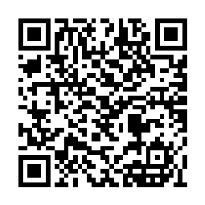 唐劫估计自己只用一只手也能打的他们满地找牙二维码生成