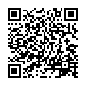 唐劫再非只能眼睁睁看着它破碎而无能为力的那个唐劫了二维码生成