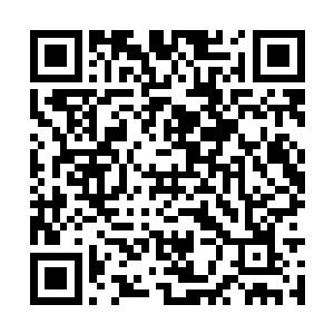 唐劫就感到一股强悍的风潮吹在自己的防御法罩上二维码生成