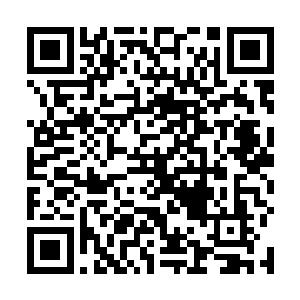 唐劫已经完成了对一人一妖两个天才思维上的重要影响二维码生成