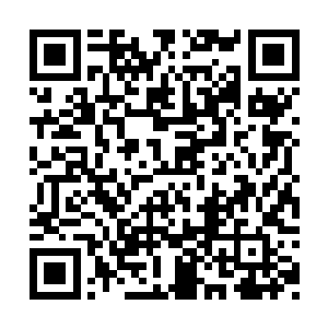 唐劫并不指望自己之前一些简单的示好行为就能二维码生成